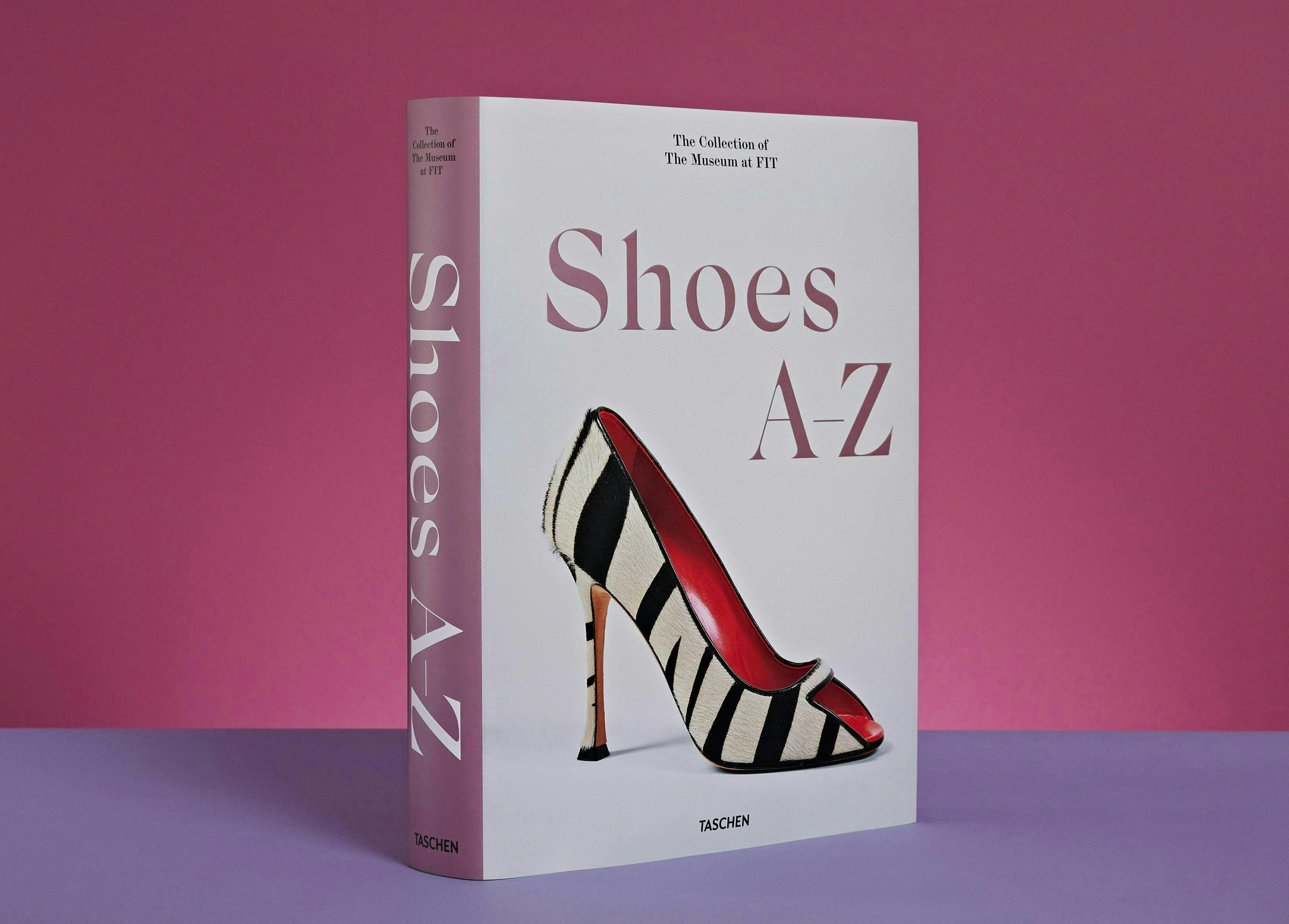clothing footwear high heel shoe book publication