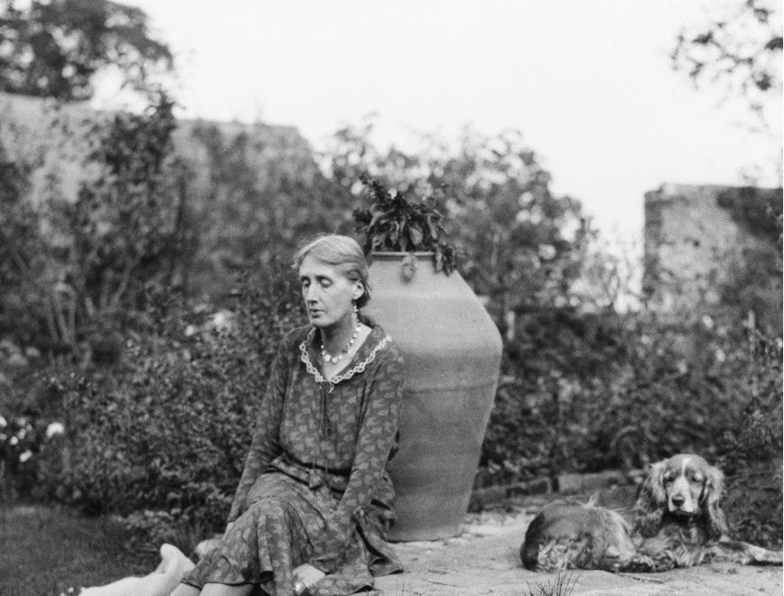 portrait photography person sitting grass lady pottery dog jar tree